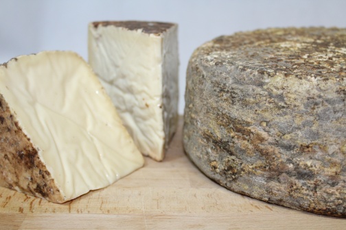 TOMME DES ARDENNES